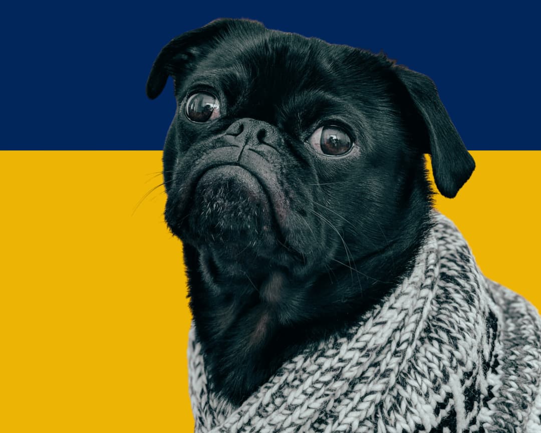 PetCleans proizvodi za uklanjanje urina i mirisa urina, fleka od psećeg izmeta i neutralizaciju neprijatnih mirisa mokraće PetCleans proizvodi za čišćenje